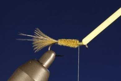 Fly tying - CDC FLOATING NYMPH - Step 5