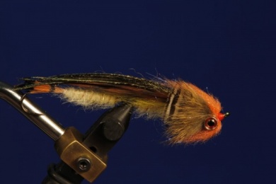 Fly tying - B.P. SPECIAL (BILLY PATE SPECIAL) - Step 12