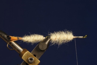 Fly tying - B.P. SPECIAL (BILLY PATE SPECIAL) - Step 4