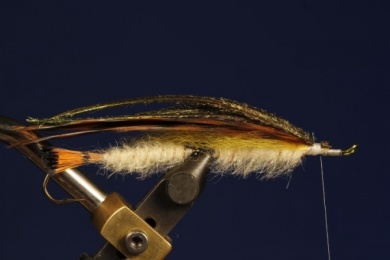 Fly tying - B.P. SPECIAL (BILLY PATE SPECIAL) - Step 7