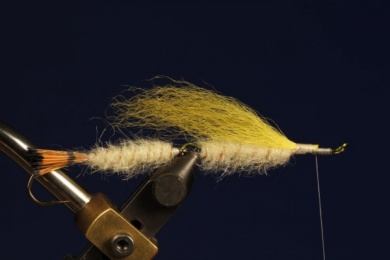 Fly tying - B.P. SPECIAL (BILLY PATE SPECIAL) - Step 5