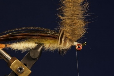 Fly tying - B.P. Special (Billy Pate Special) - Step 9
