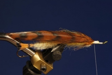 Fly tying - B.P. Special (Billy Pate Special) - Step 6