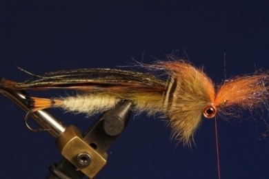 Fly tying - B.P. Special (Billy Pate Special) - Step 11