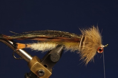Fly tying - B.P. Special (Billy Pate Special) - Step 10