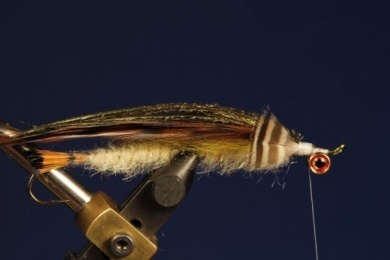 Fly tying - B.P. Special (Billy Pate Special) - Step 8