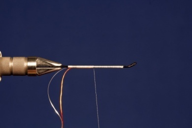 Fly tying - Waddington White Shrimp - Step 2