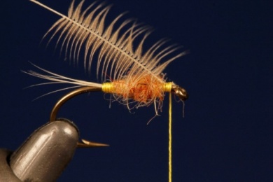 Fly tying - TUP´S INDISPENSABLE - Step 3