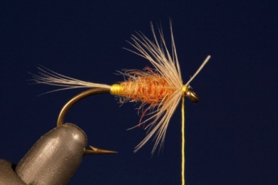 Fly tying - TUP´S INDISPENSABLE - Step 5