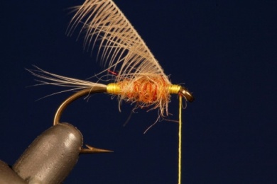 Fly tying - TUP´S INDISPENSABLE - Step 4