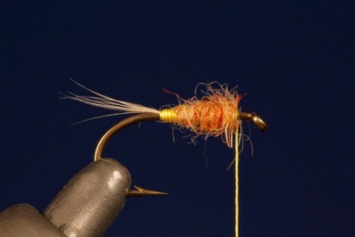 Fly tying - TUP´S INDISPENSABLE - Step 2