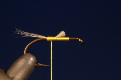 Fly tying - TUP´S INDISPENSABLE - Step 1