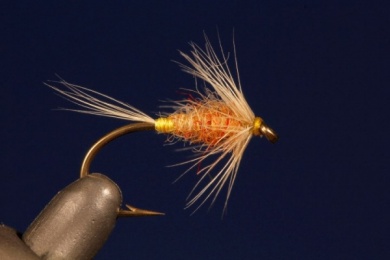 Fly tying - TUP´S INDISPENSABLE - Step 6