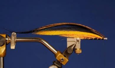 Fly tying - Puelche - Step 9