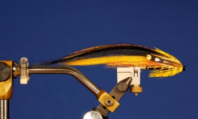 Fly tying - Puelche - Step 12