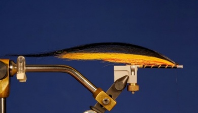 Fly tying - Puelche - Step 8