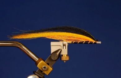 Fly tying - Puelche - Step 7