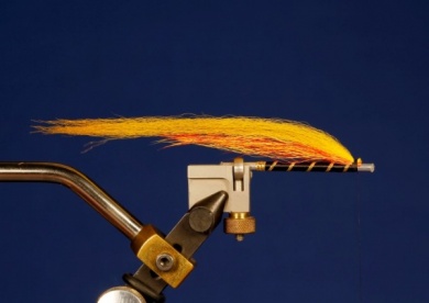 Fly tying - Puelche - Step 5
