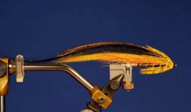 Fly tying - Puelche - Step 10