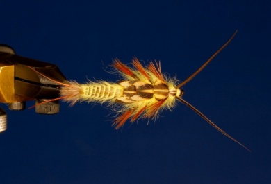 Fly tying - Yellow Stone - Step 14