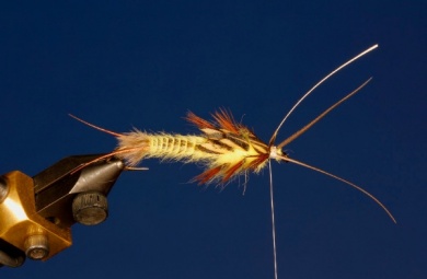 Fly tying - Yellow Stone - Step 11