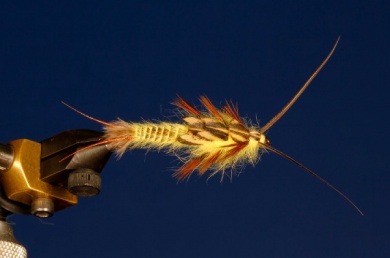 Fly tying - Yellow Stone - Step 13