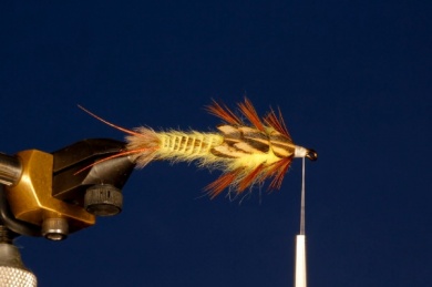 Fly tying - Yellow Stone - Step 10