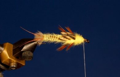 Fly tying - Yellow Stone - Step 9
