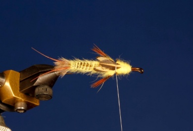 Fly tying - Yellow Stone - Step 8