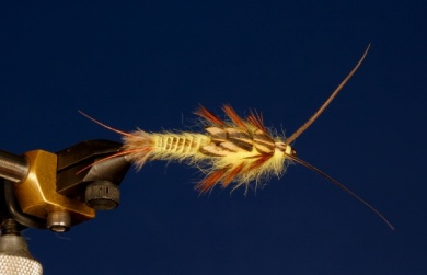 Fly tying - Yellow Stone - Step 12