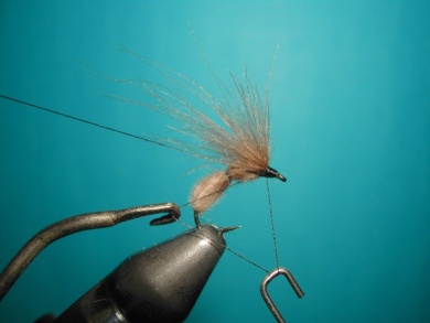 Fly tying - CDC Ant - Step 6