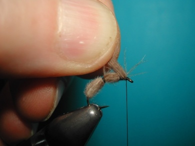 Fly tying - CDC Ant - Step 5