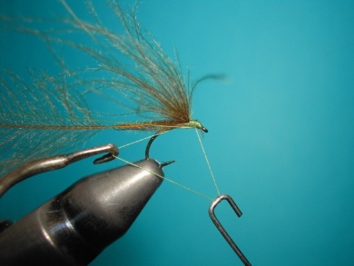 Fly tying - Mirage. - Step 5