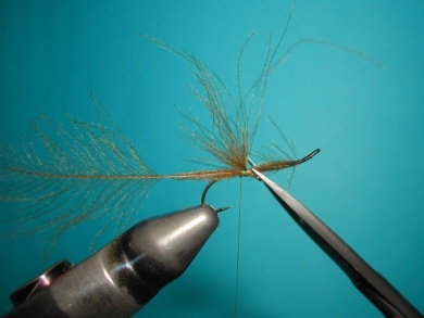 Fly tying - Mirage. - Step 4