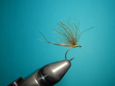 Fly tying - Mirage. - Step 8