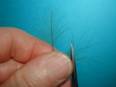 Fly tying - Mirage. - Step 6
