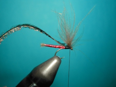 Fly tying - Midge - Step 9