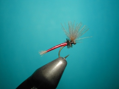 Fly tying - Midge - Step 13