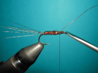 Fly tying - My parachute - Step 5