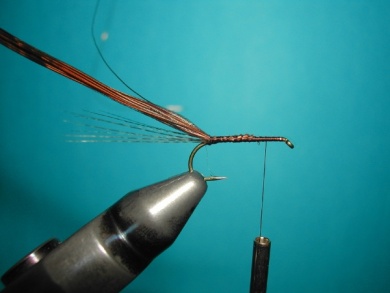 Fly tying - My parachute - Step 2