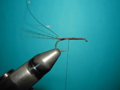 Fly tying - My parachute - Step 1