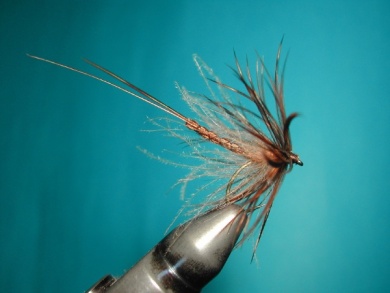Fly tying - May fly - Step 18