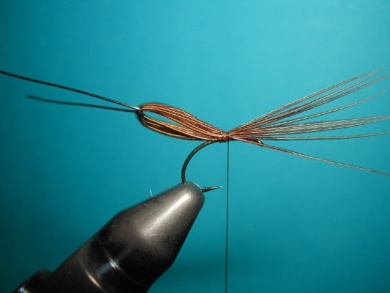 Fly tying - May fly - Step 4