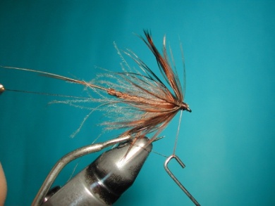 Fly tying - May fly - Step 16