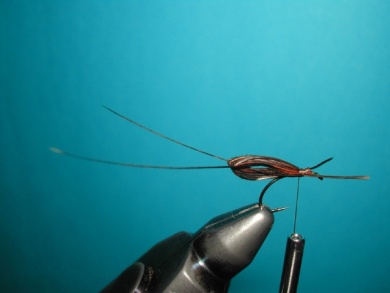 Fly tying - May fly - Step 7