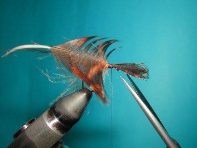 Fly tying - May fly - Step 14