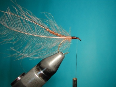 Fly tying - May fly - Step 12