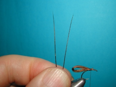 Fly tying - May fly - Step 5