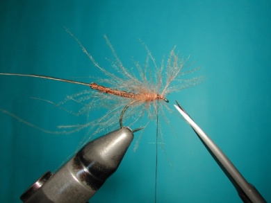 Fly tying - May fly - Step 13