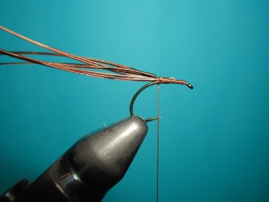 Fly tying - May fly - Step 3